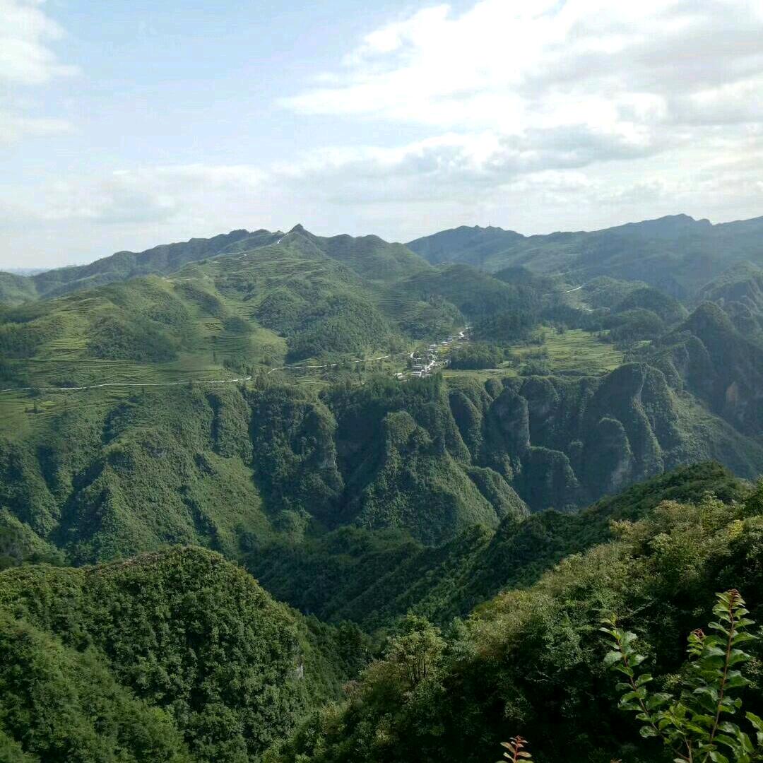 進