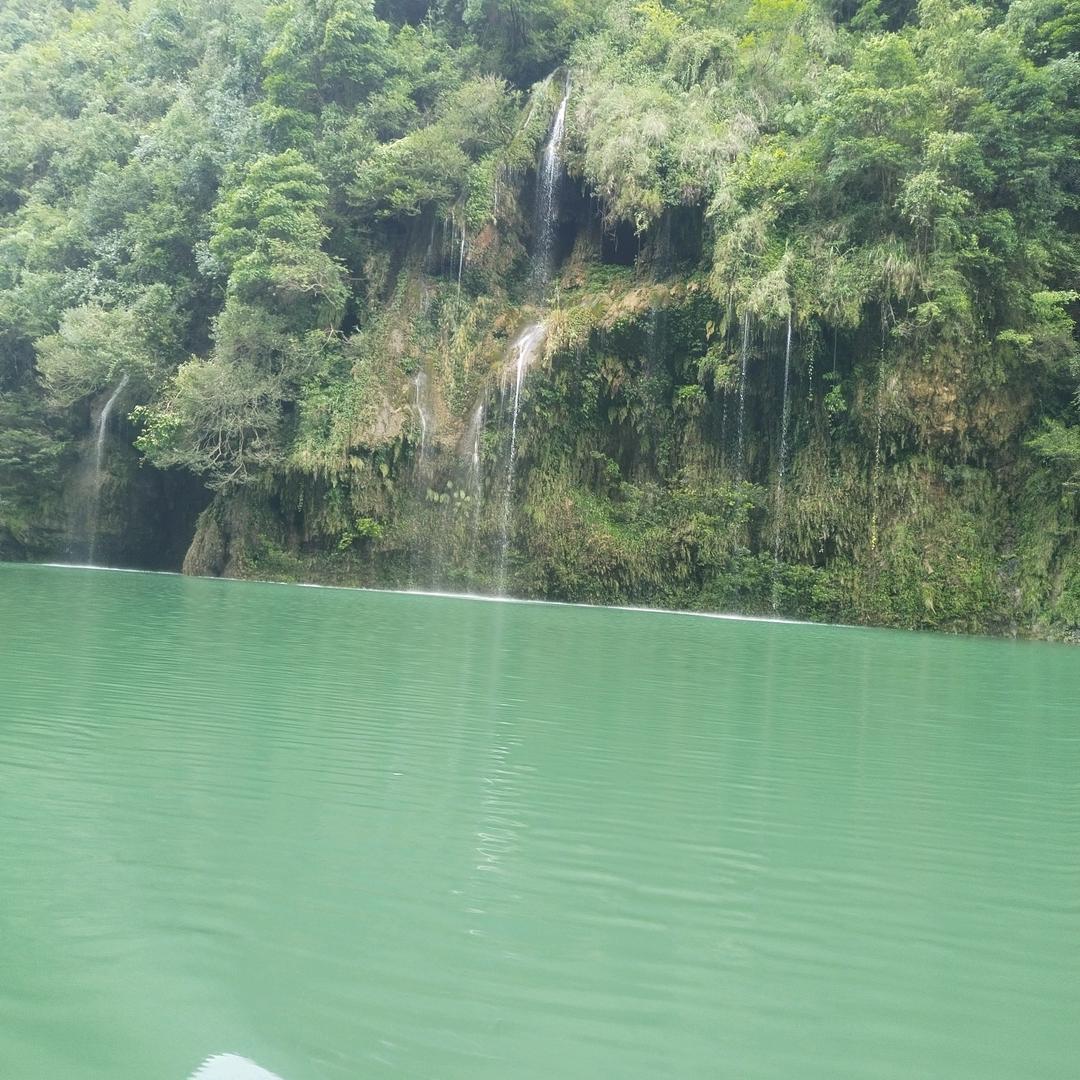 水🏊🏻中🎏鱼