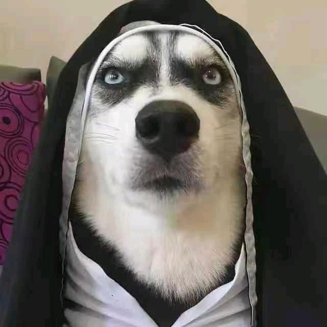 蔸蔸