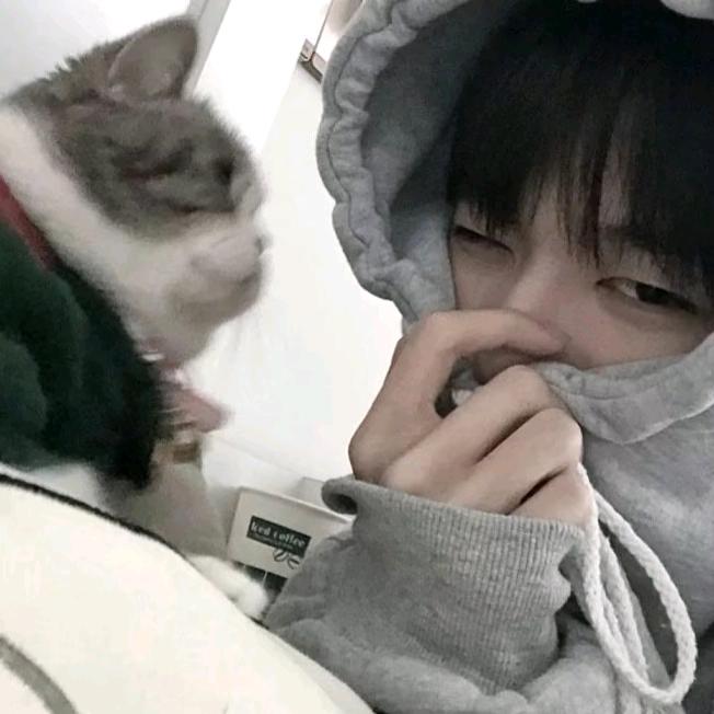 梦锦