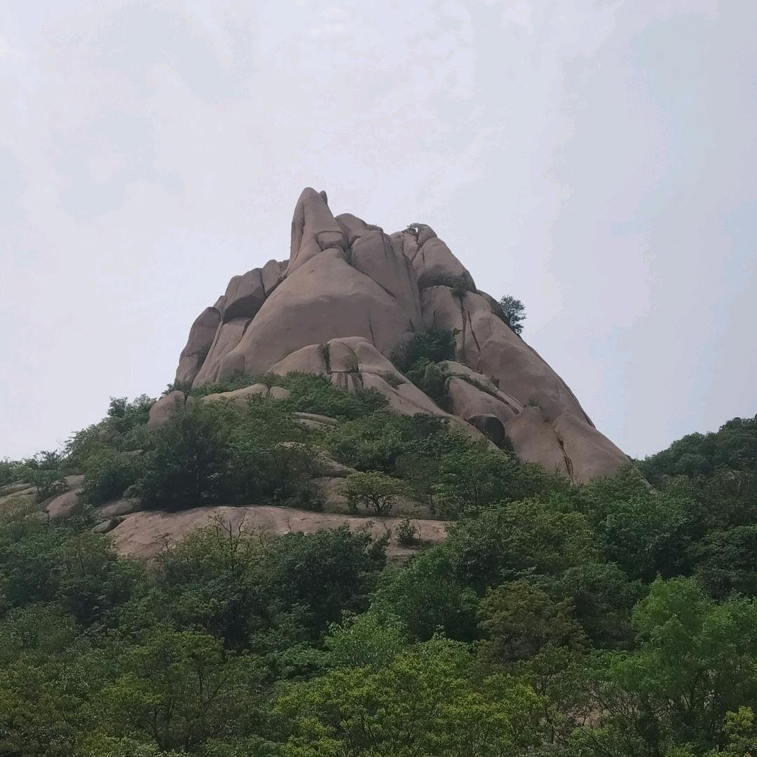 小磊农业号！