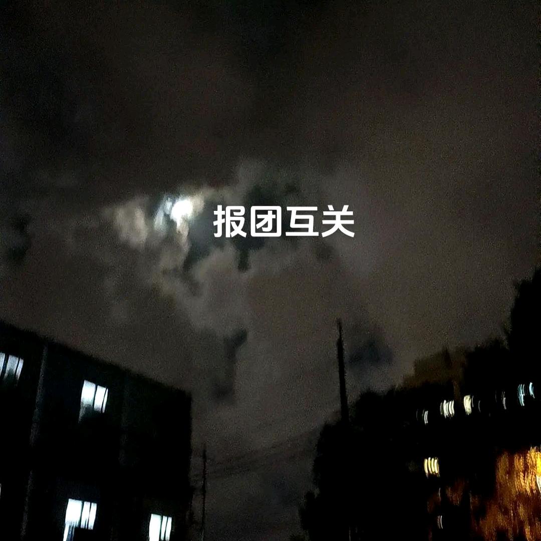玫瑰花茉莉花