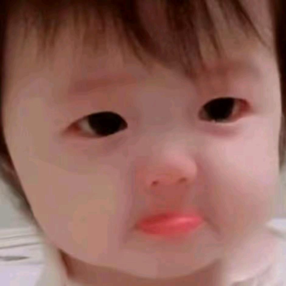 🎤《小韦318布达拉宫》🎤{中号}六