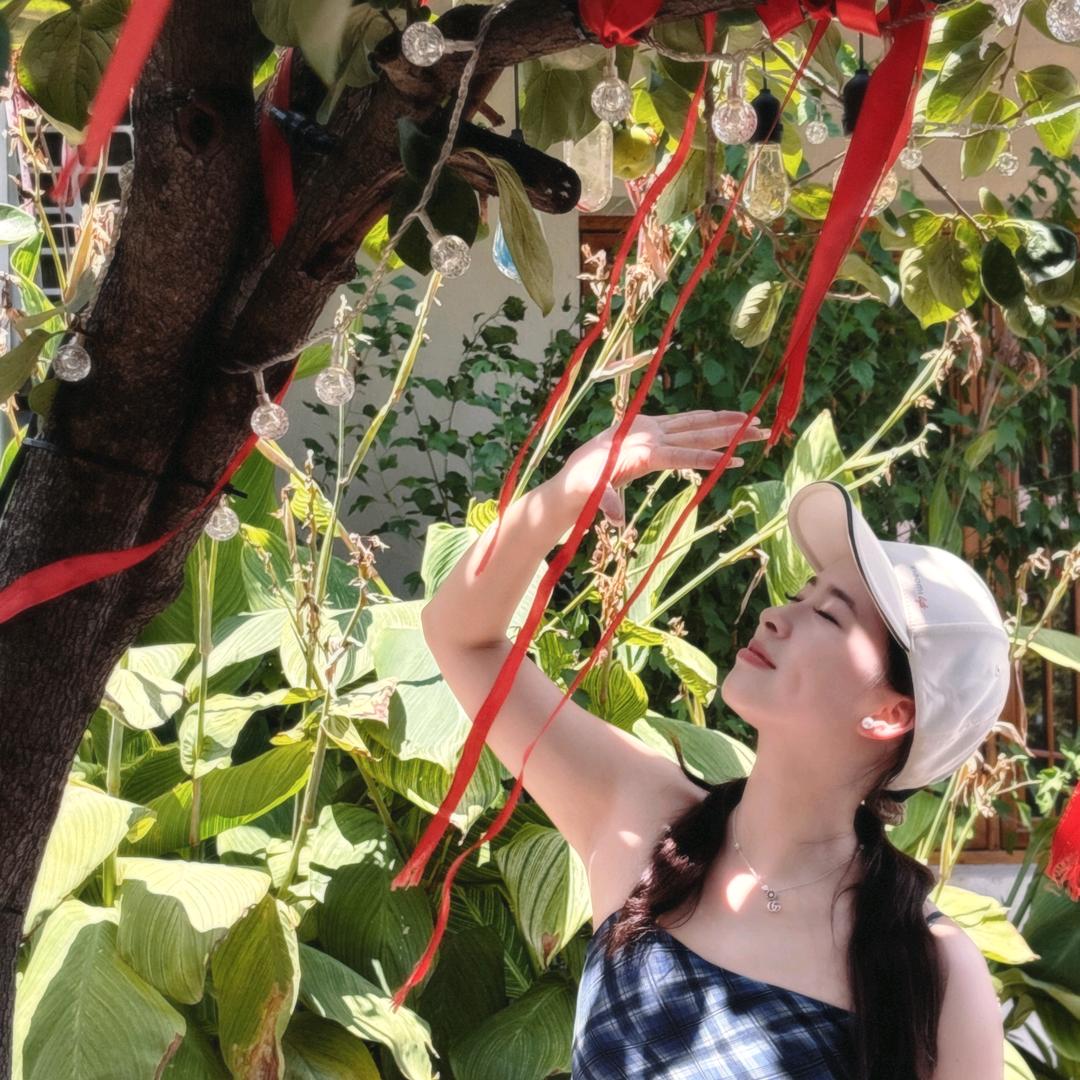 想盖一栋大别墅