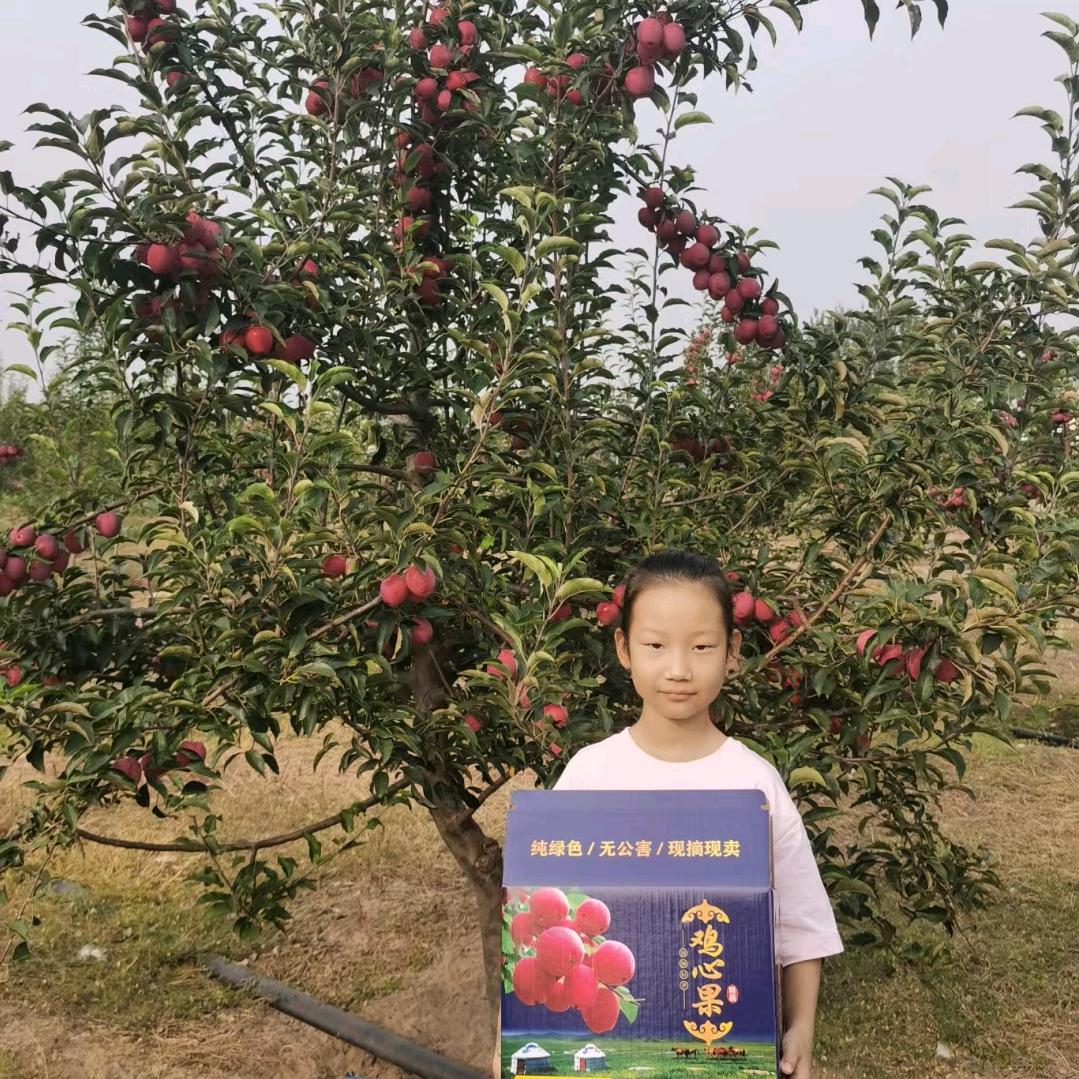 包永强的蒙森园林创意屋