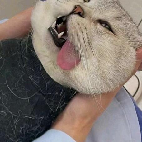 苏北%