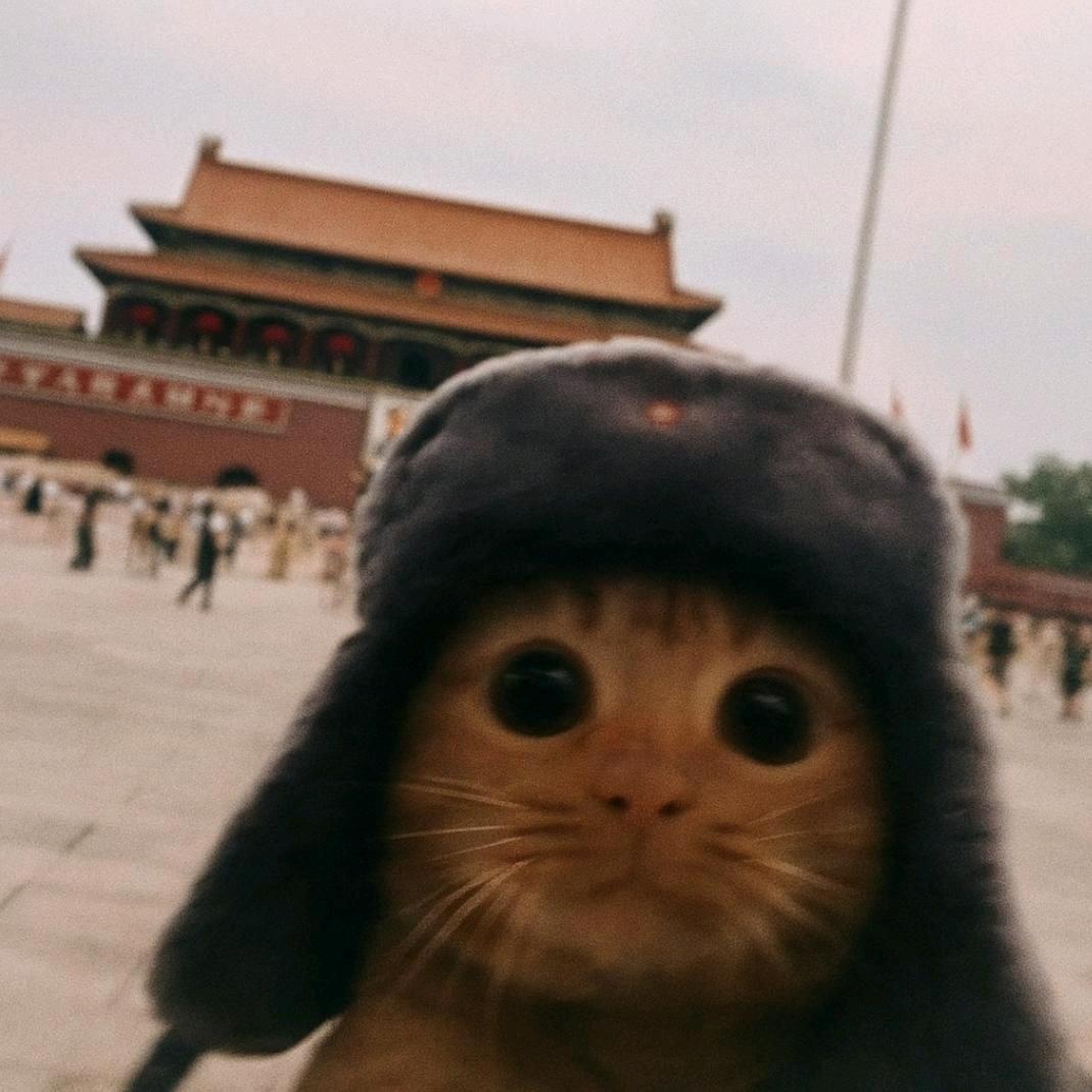 旧巷听风雨