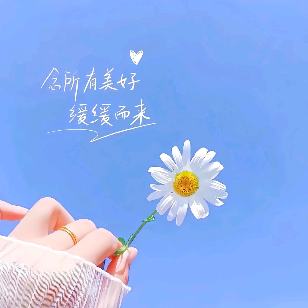 春风十里不如悦己