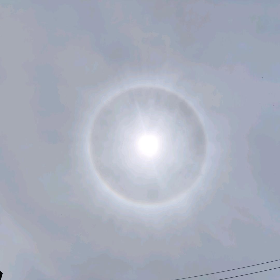 不打扰！是我最后的温柔