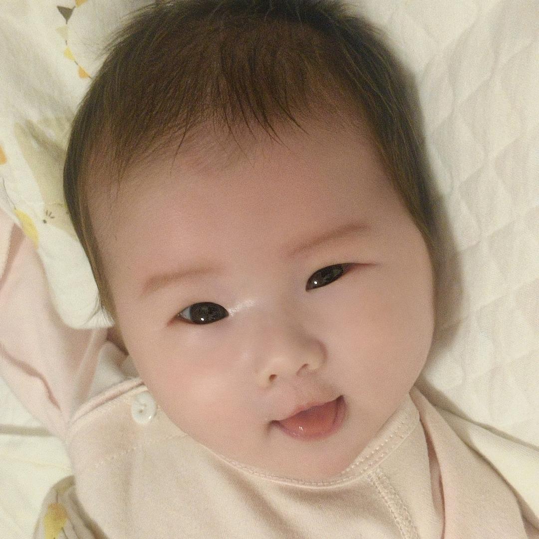 夏天的蒲公英