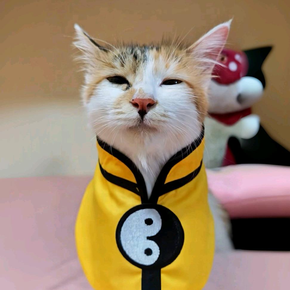 张花花