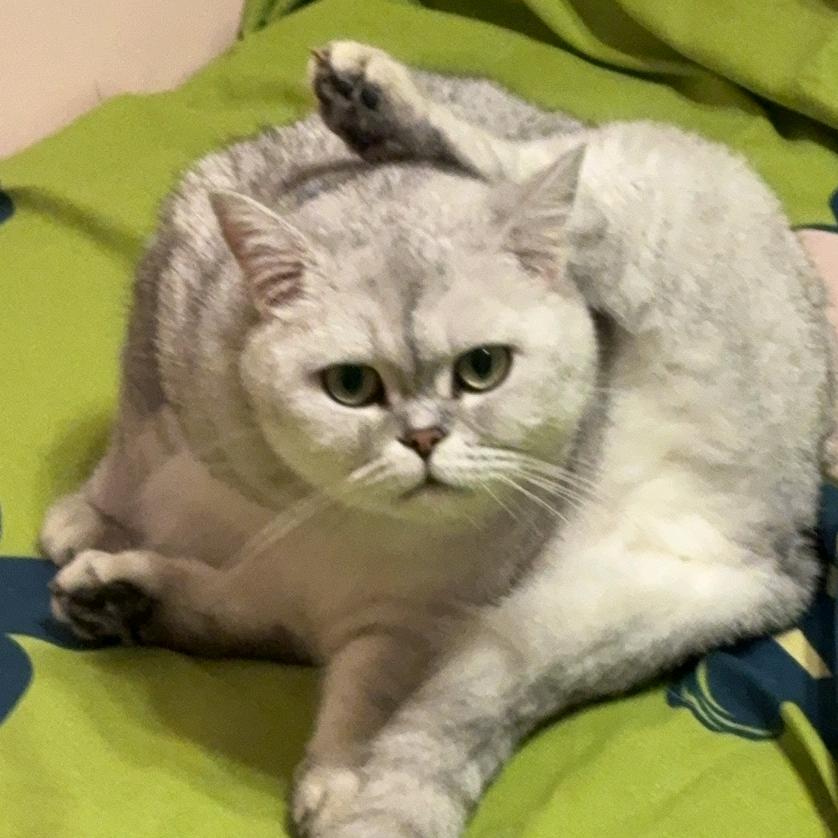 伟大的七七