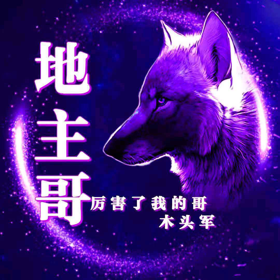 地主哥(伍市人)