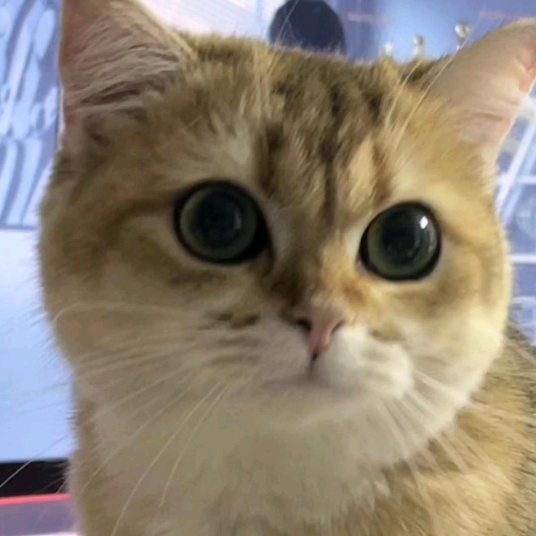 怎么还没到周五