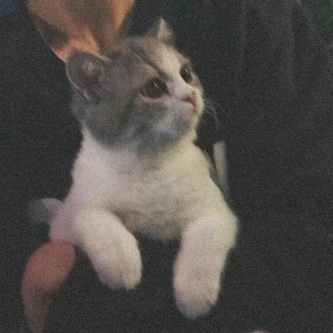 赤华