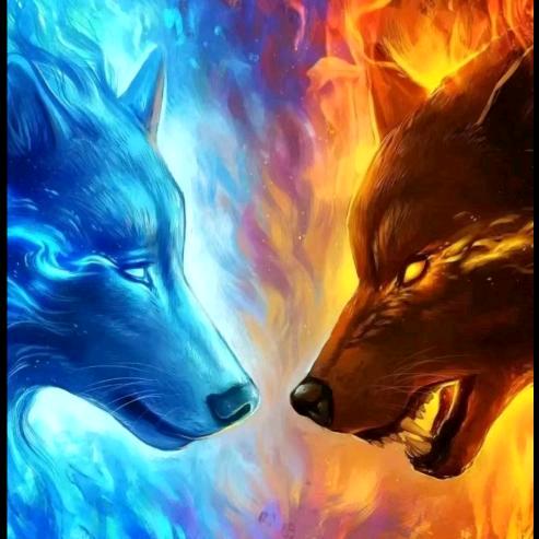 小绵羊有🍬🍬🍬