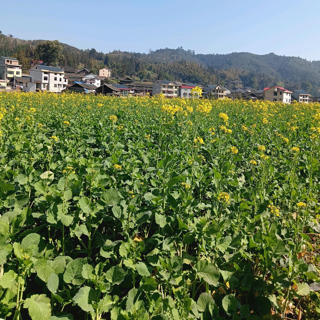 唐宝(好物在橱窗 )