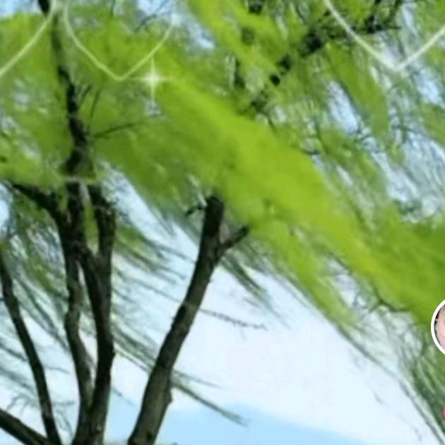 蔡廷昭