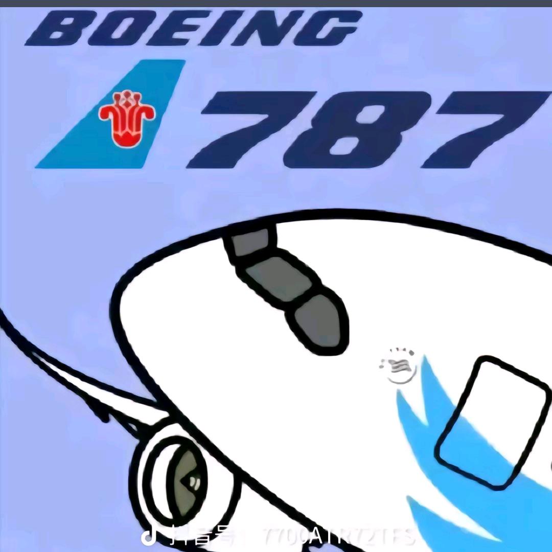 一架南航B787（也玩Mc和迷你)