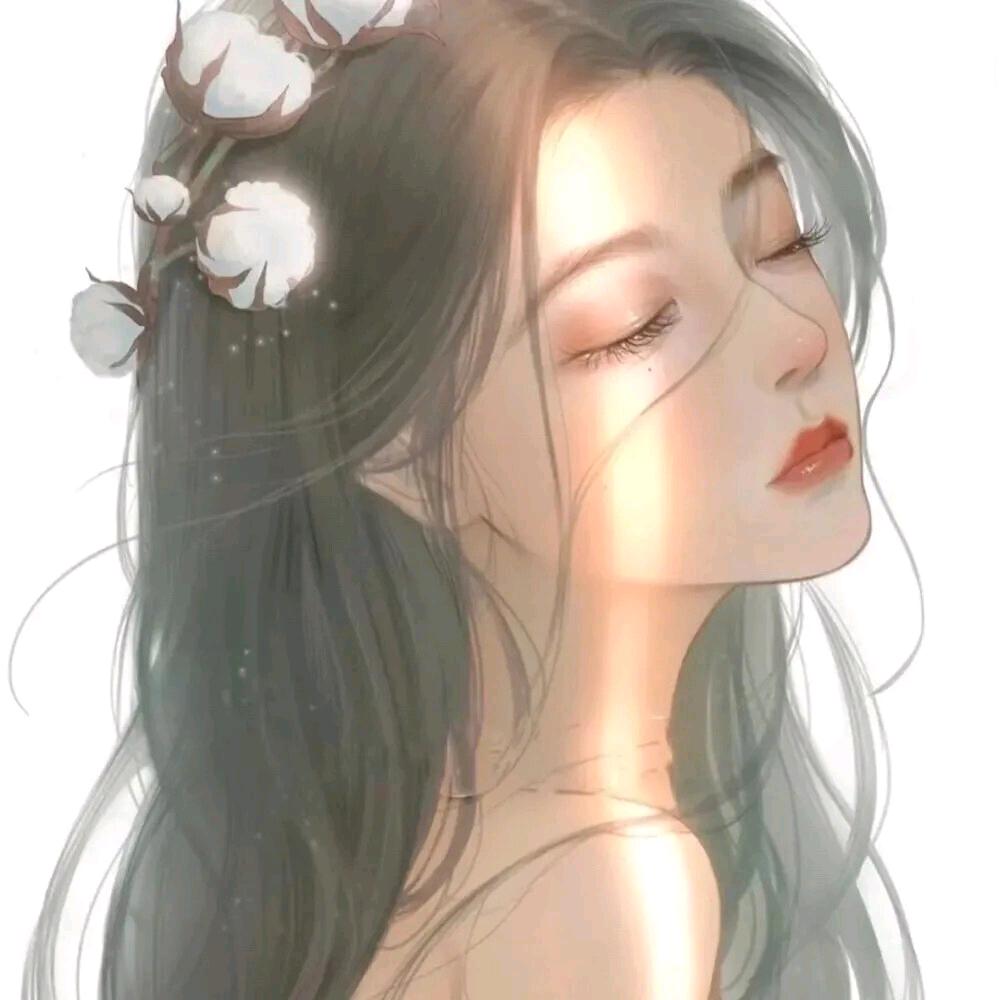 星沫的橱窗