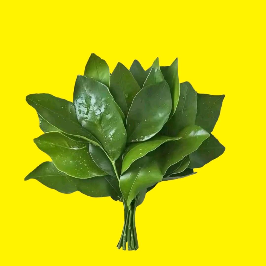 小橙橙
