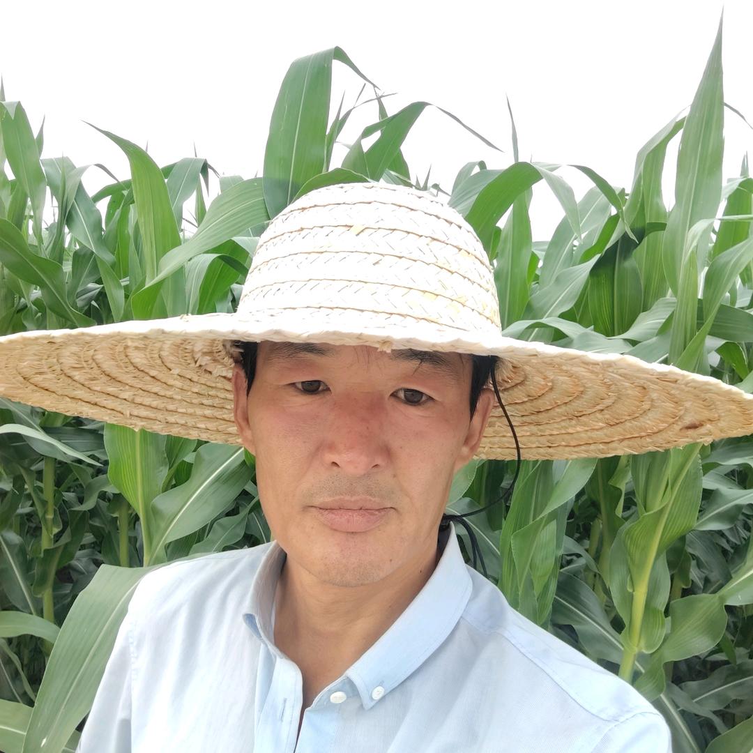 玉米面条孟厂长