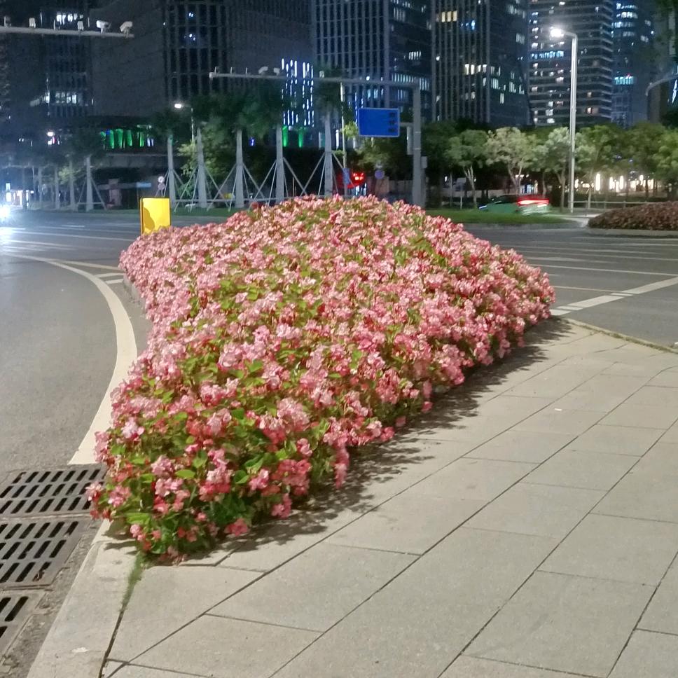 明天会更好
