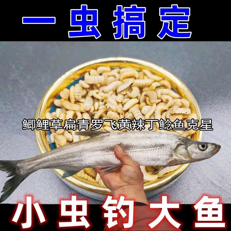 渔丰瑞