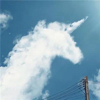 深藏blue