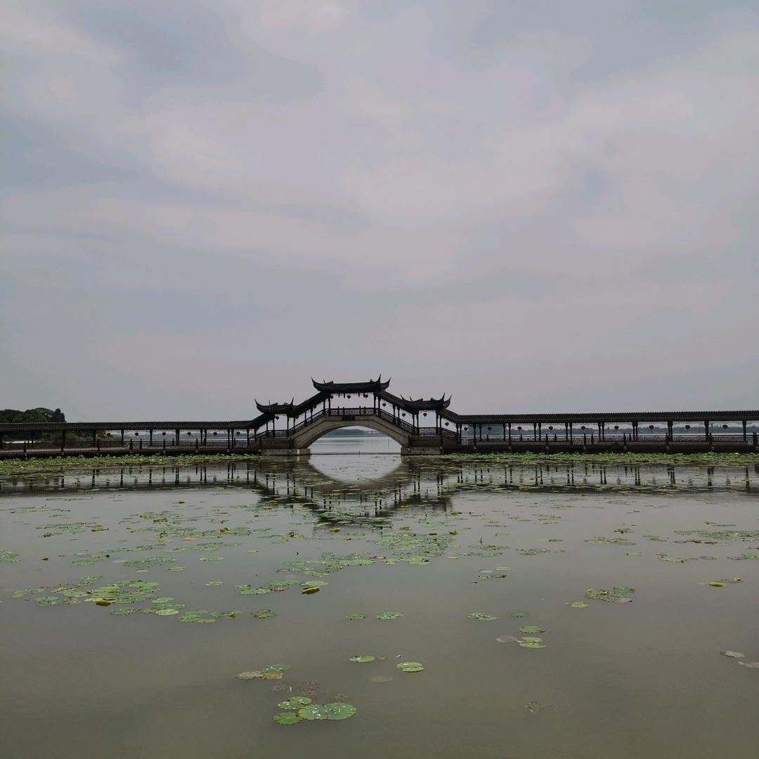 心想事成🍀🍀