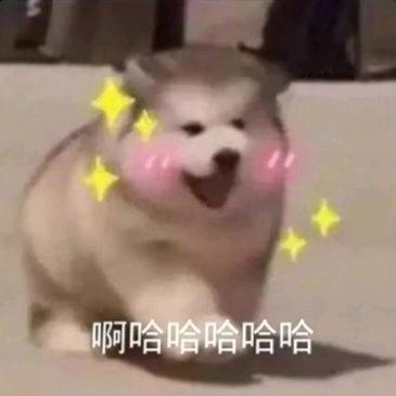 神去扛米
