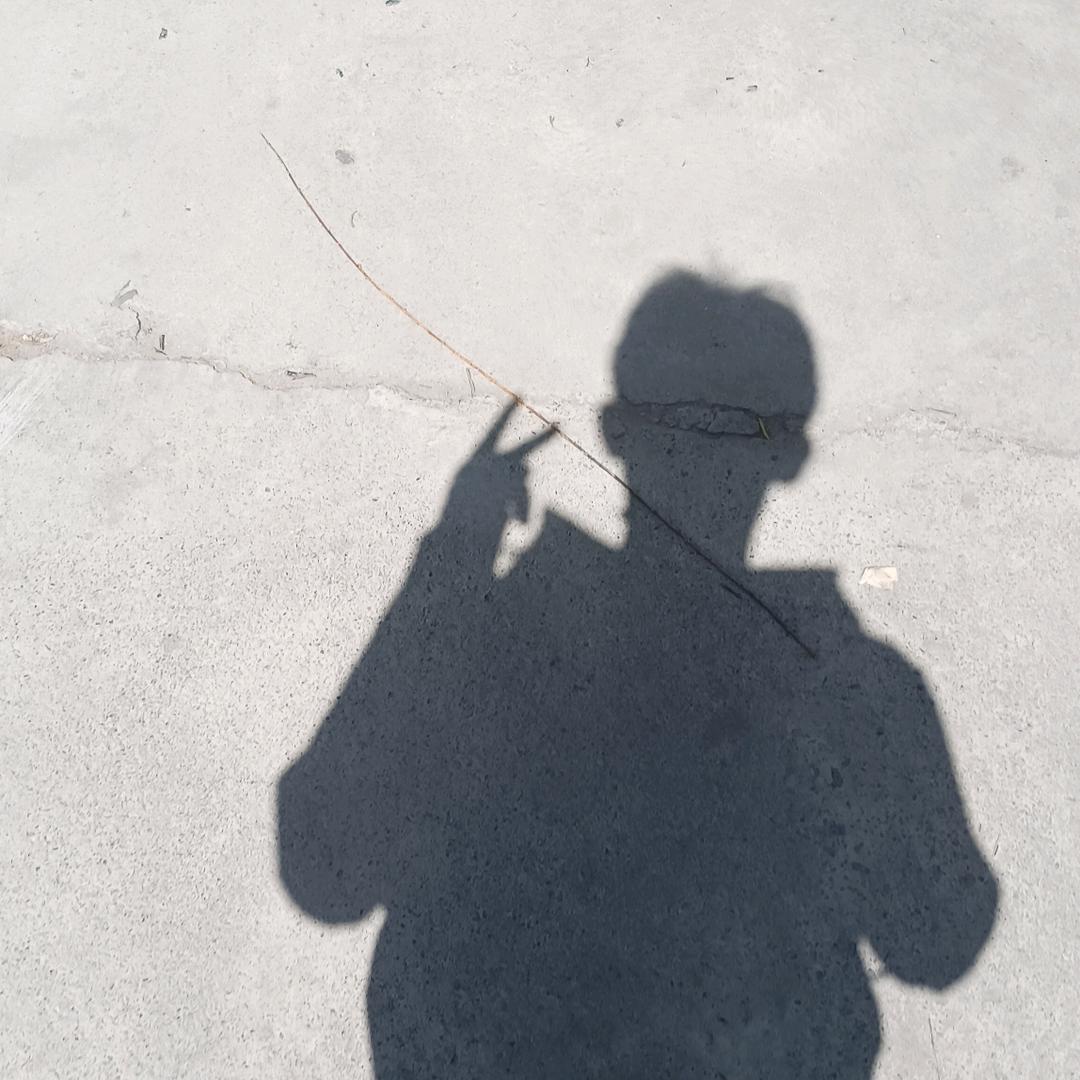 抱歉 ，nl  不配