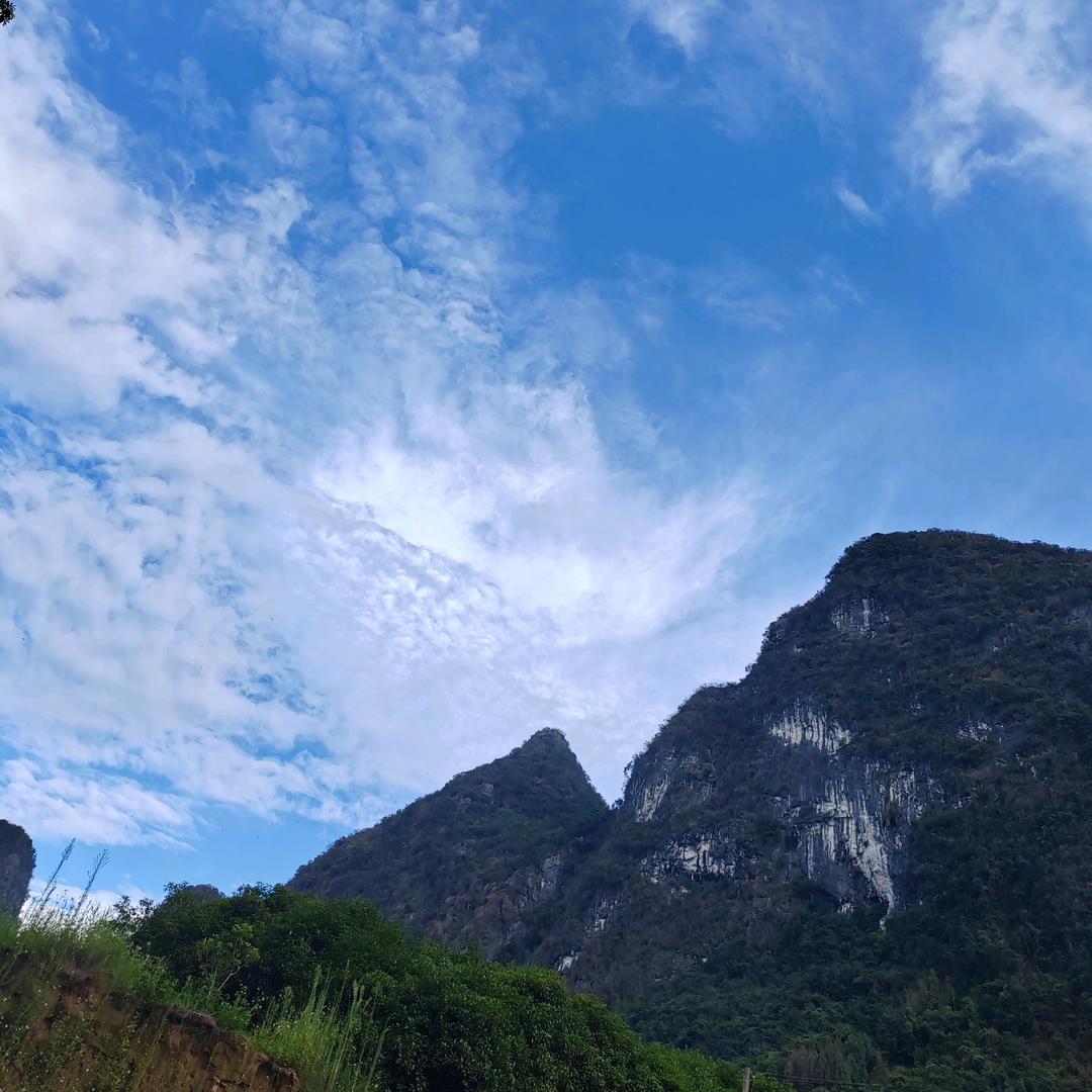 雨中竹林