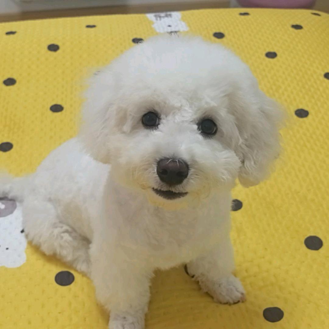 红珊瑚专业美缝环氧彩砂