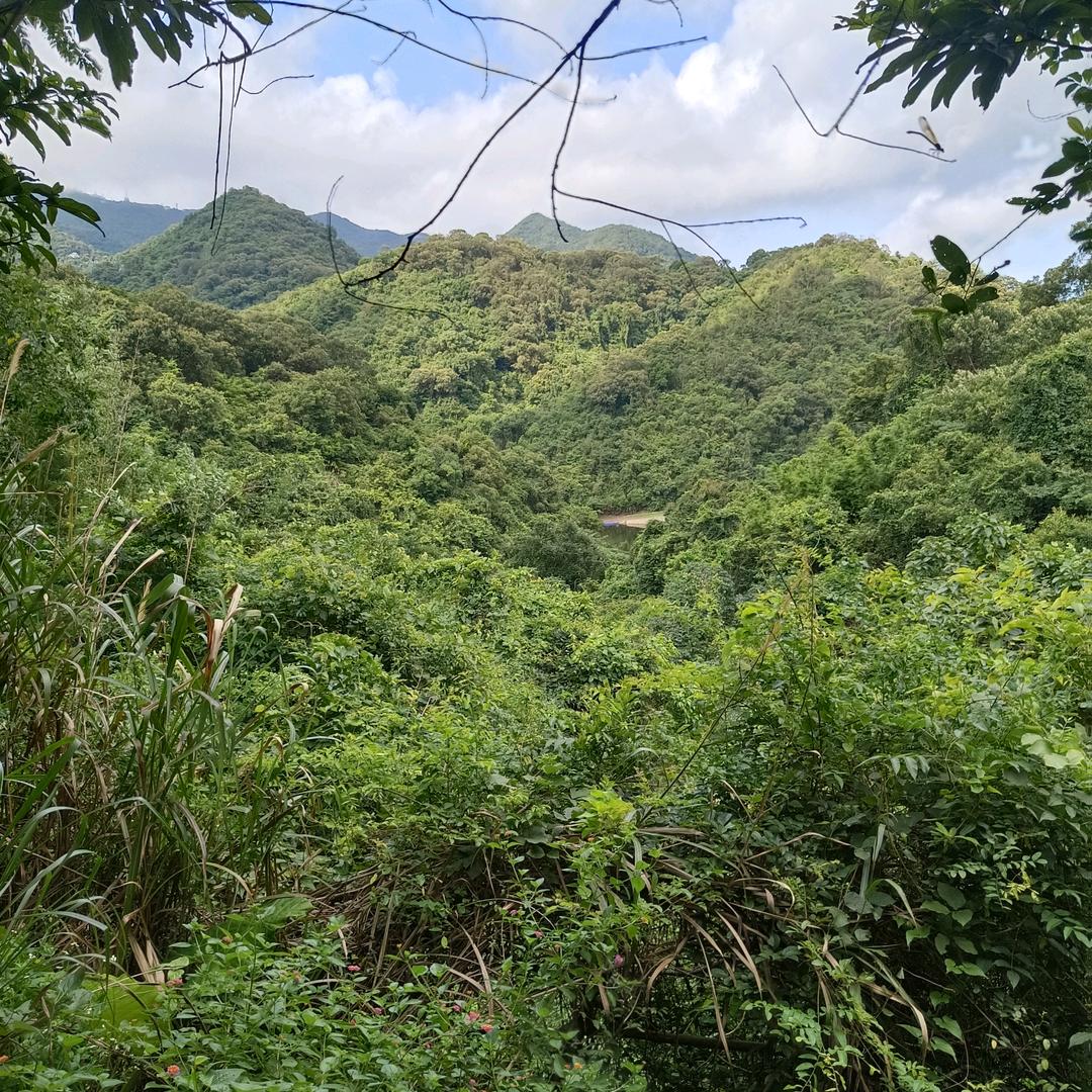 简单&幸福