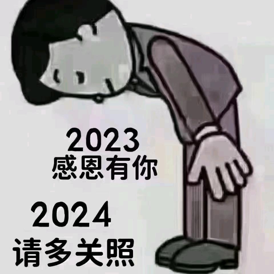 阳光恋上雪