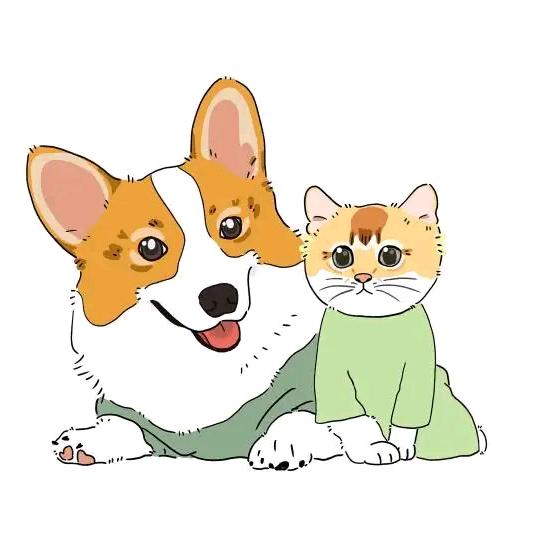 馨小馨