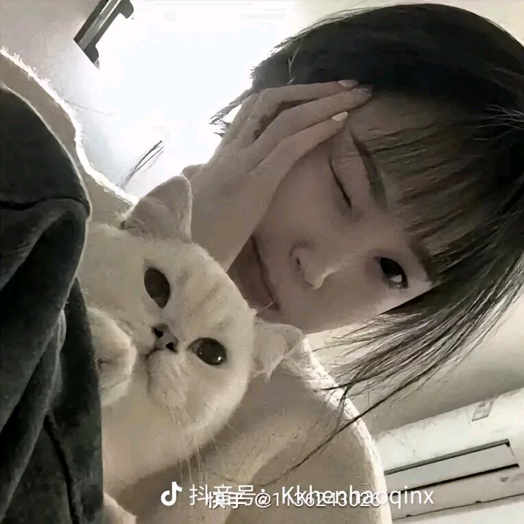 丨：萌、玻璃心。