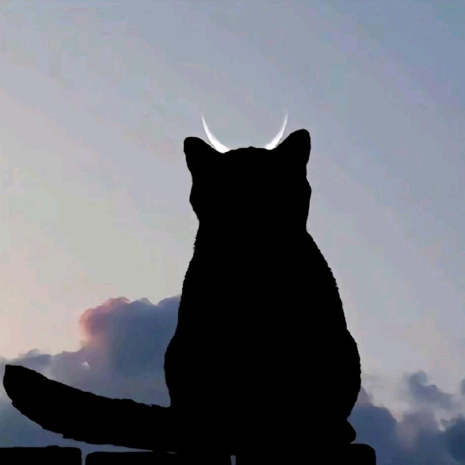 _