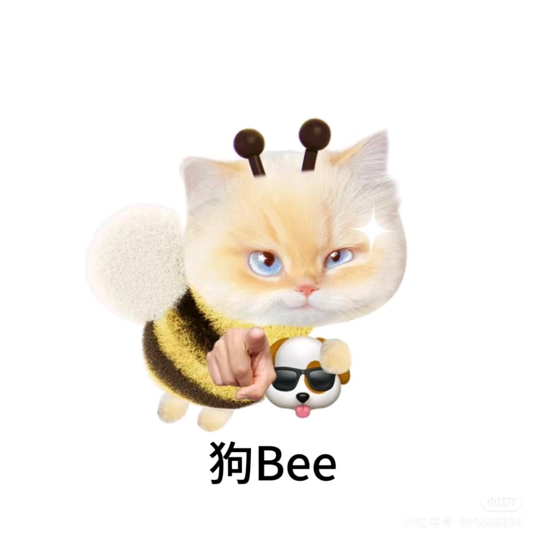 小猫电台ฅ