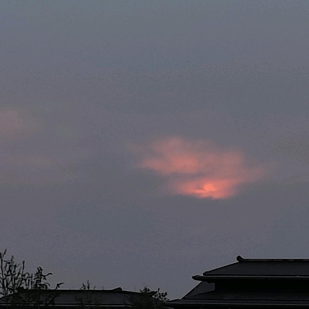 小雅