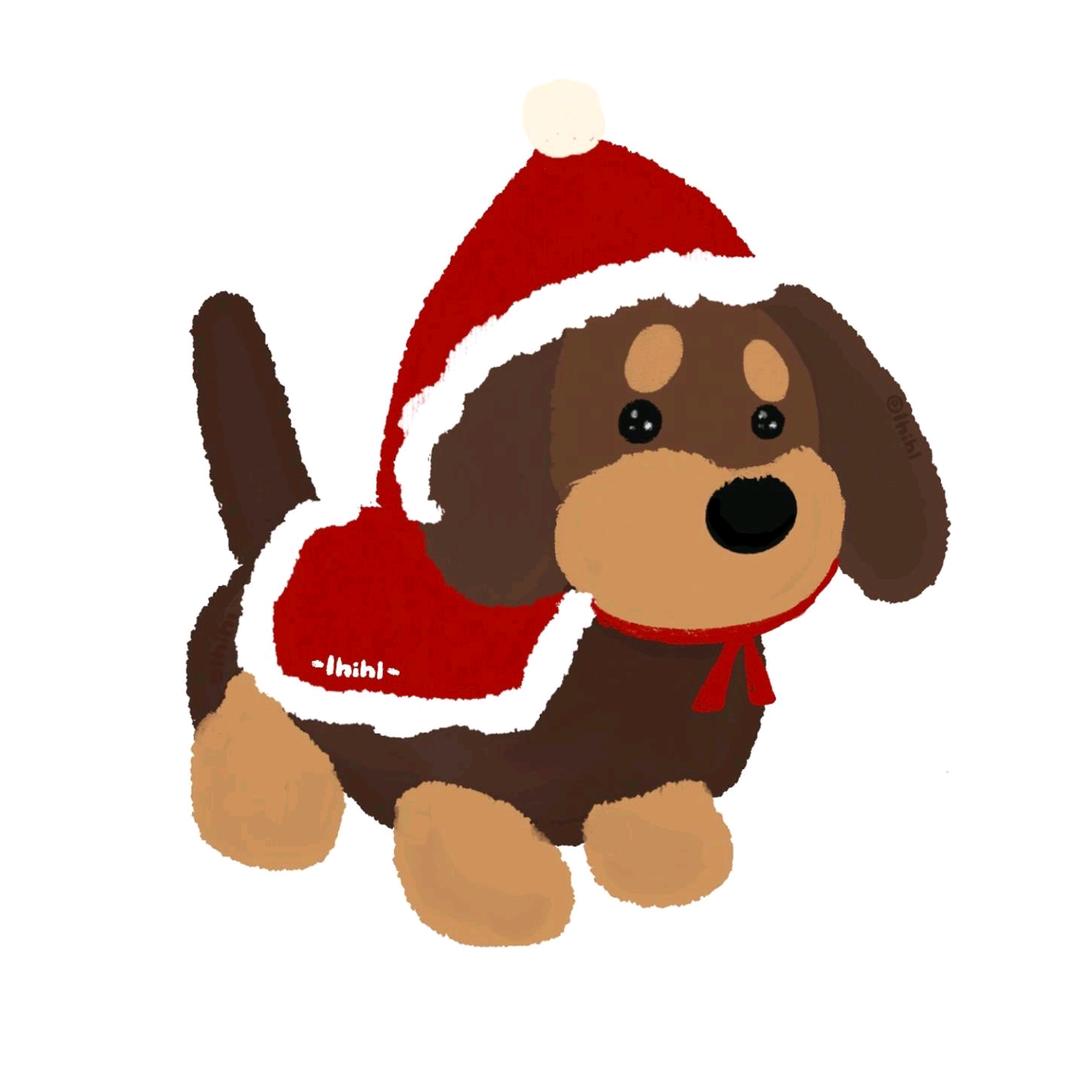 🐶Y