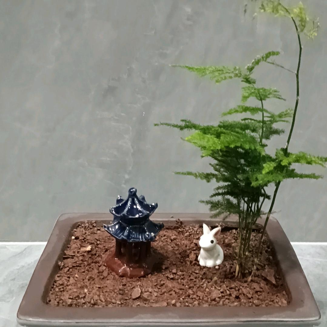 一方