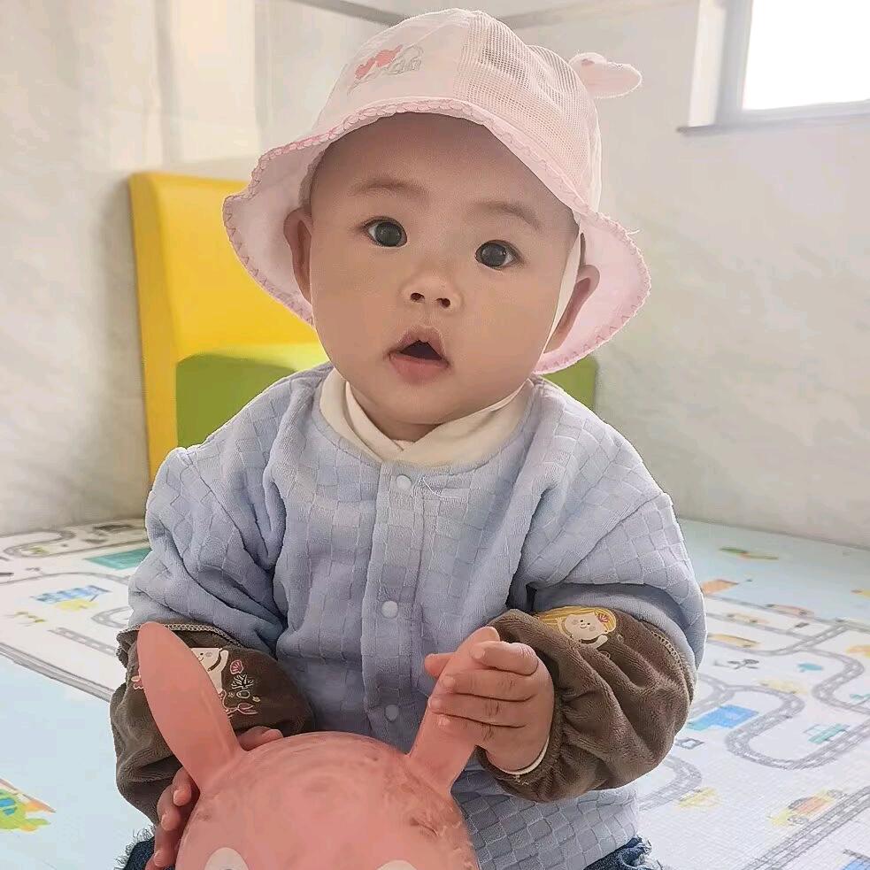 小燕子