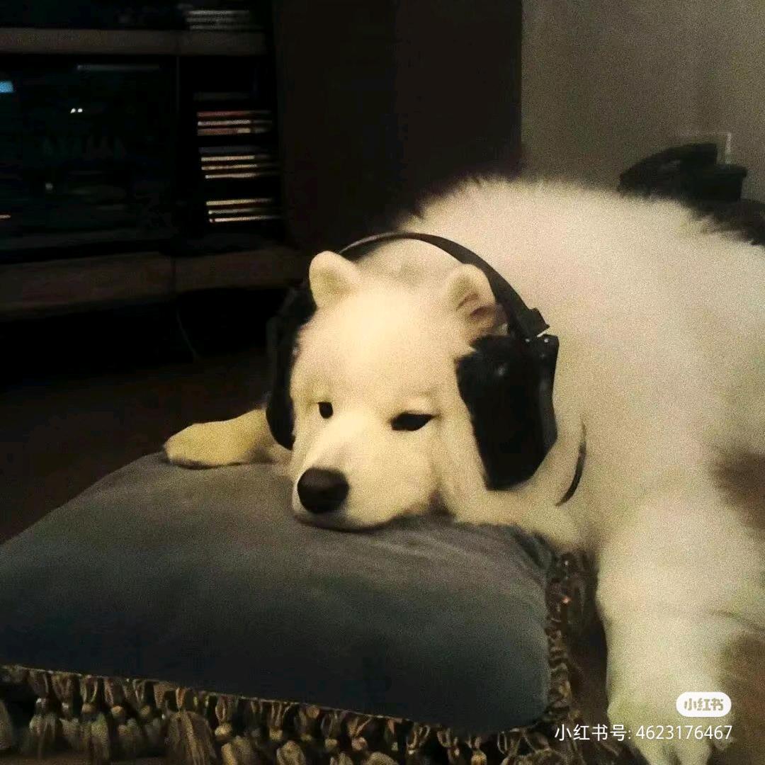 小助不想上早八