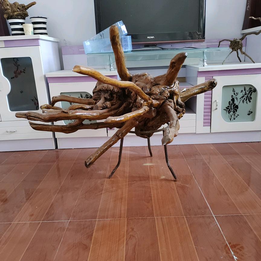 科理