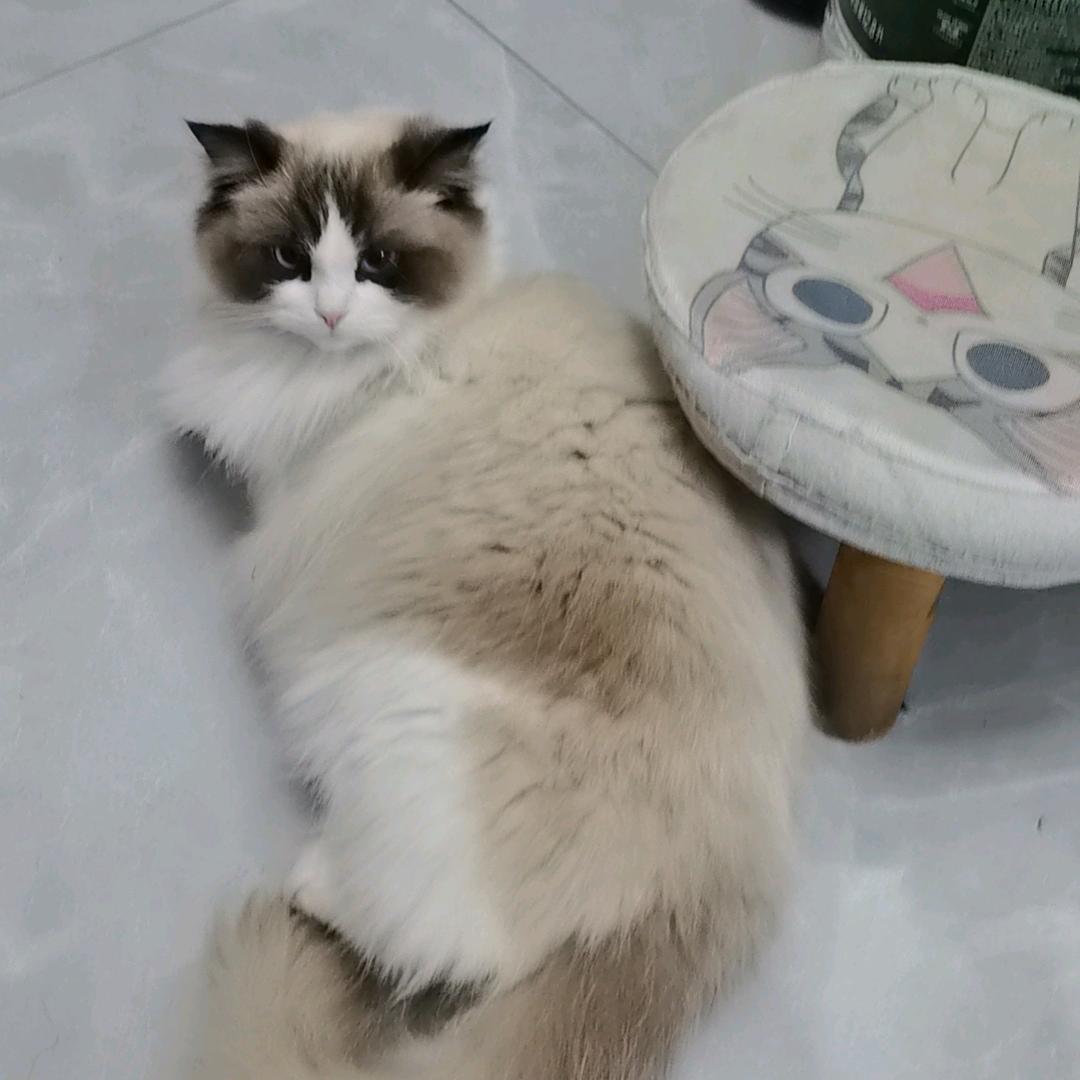 简阳找房小陈帮忙