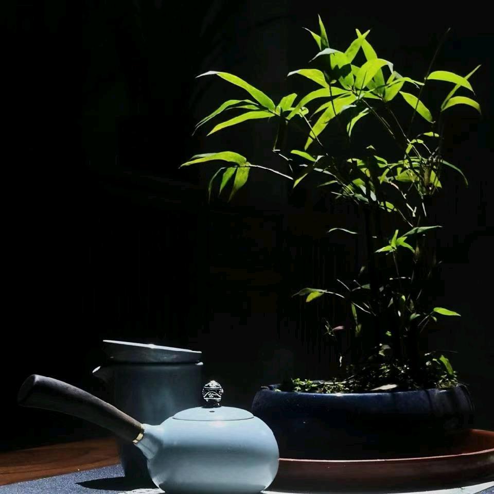 鹅湖世德