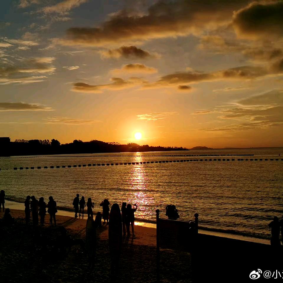 小白一点都不黑