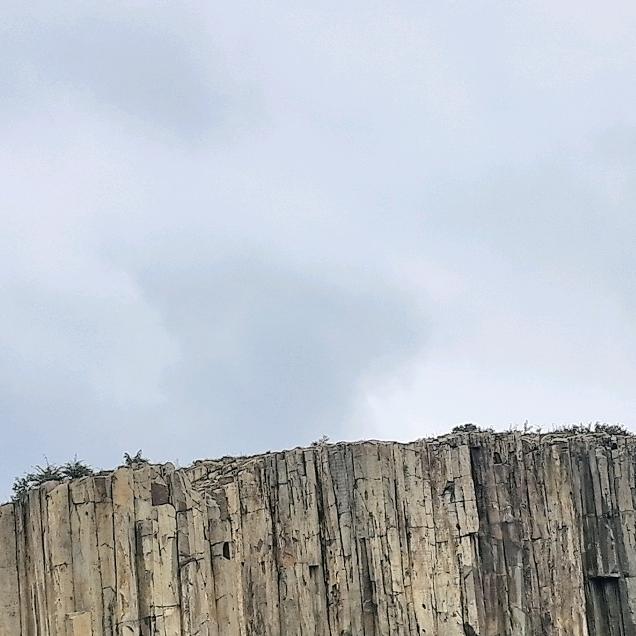 大师哥